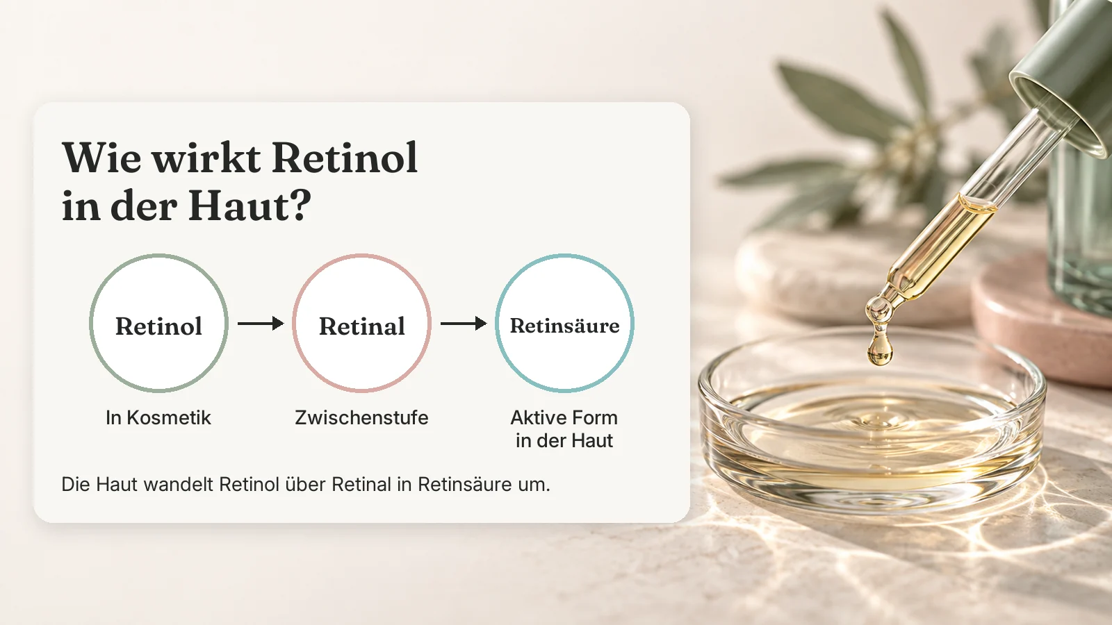 Schema: Retinol wird in der Haut über Retinal in Retinsäure, die aktive Form, umgewandelt