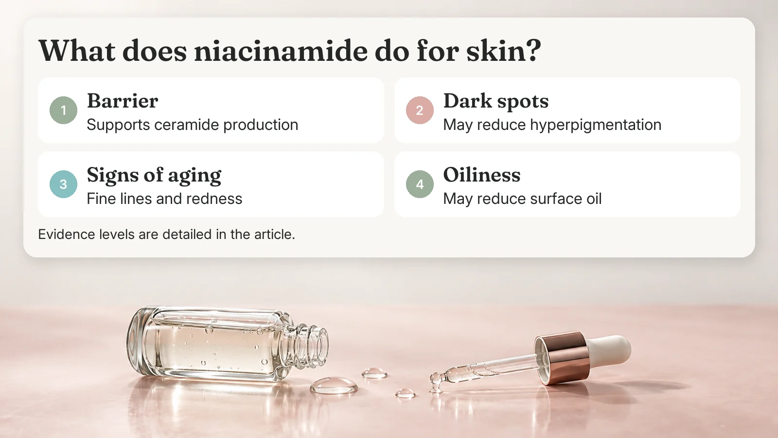 Four benefits of niacinamide: supports the barrier, may reduce dark spots, may improve fine lines and redness, may reduce surface oil